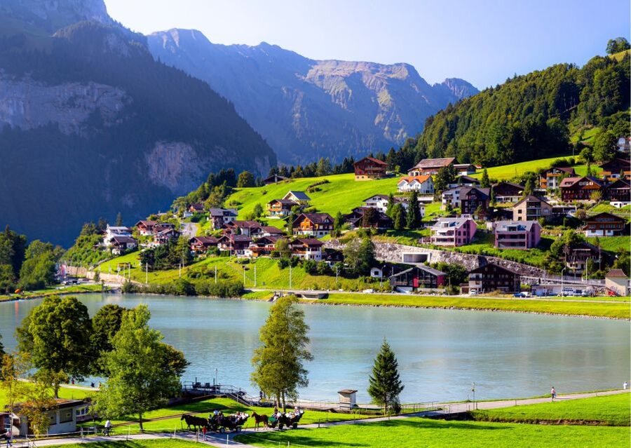 From Lucerne: Private Day Tour to Interlaken and Grindelwald - Who gets the best value at $317