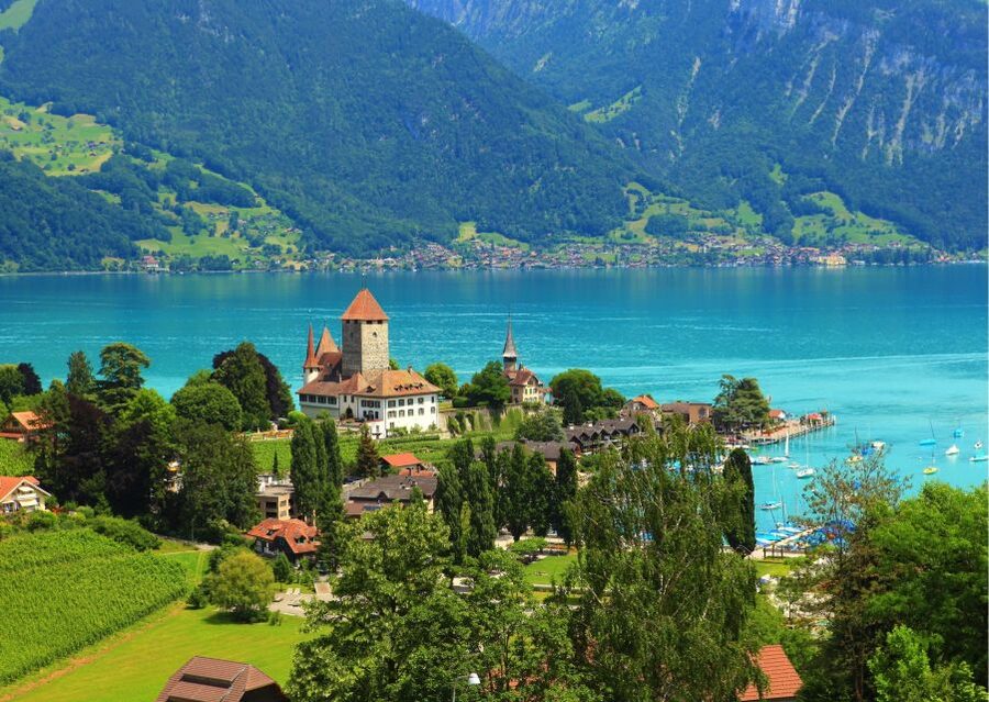 From Lucerne: Private Day Tour to Interlaken and Grindelwald - Practical details for a smoother day