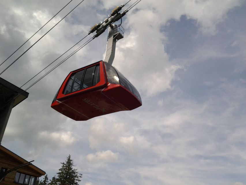 From Luzern:Small Group Tour Golden Roundtrip to Mt. Pilatus - Practical details before you reserve