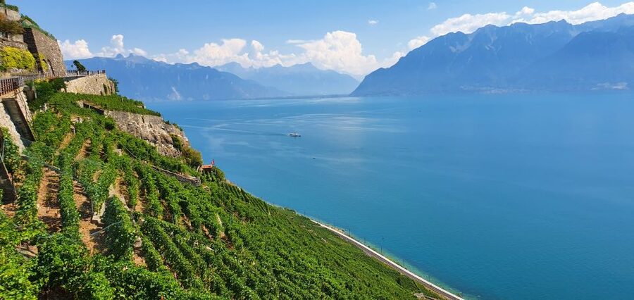 From Zurich: 7-Day Tour to Geneva with Tickets and Lodging - FAQ