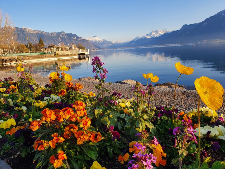 From Zurich: 7-Day Tour to Geneva with Tickets and Lodging - What the $2,192 price really covers
