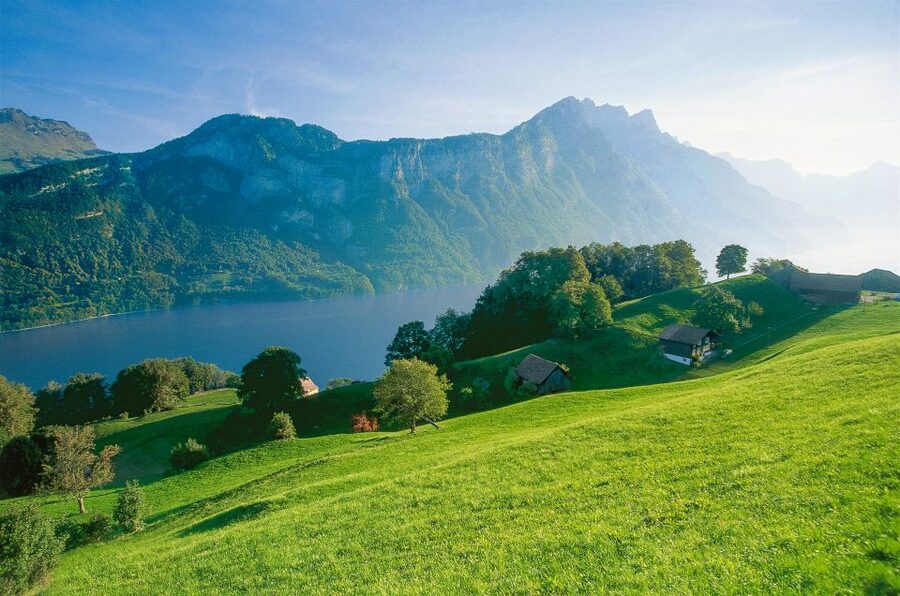 From Zurich: Bus Day Trip to Heidiland and Liechtenstein - Key points to know before booking