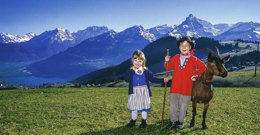 From Zurich: Bus Day Trip to Heidiland and Liechtenstein - Rapperswil, the city of roses