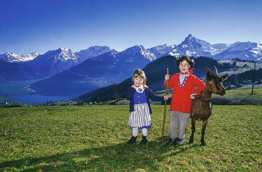 From Zurich: Bus Day Trip to Heidiland and Liechtenstein - A brief look at Zurich before the countryside