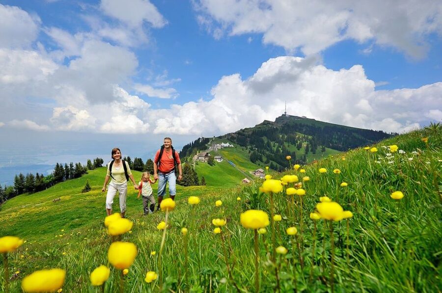 From Zurich: Day Trip to Rigi and Lake Lucerne - My verdict: scenic, varied, and best for independent-minded visitors