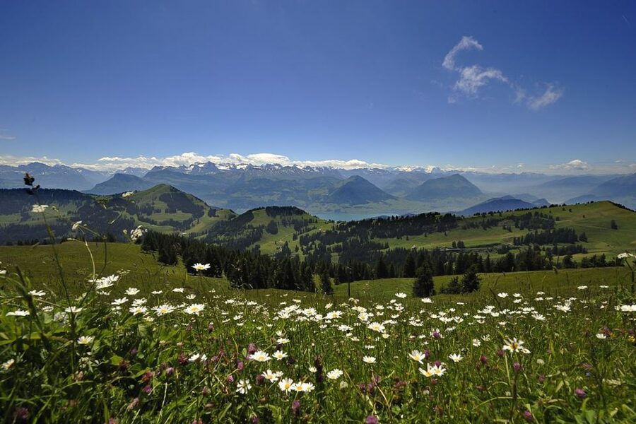 From Zurich: Day Trip to Rigi and Lake Lucerne - What the $194 price really buys