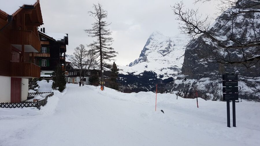 From Zürich: Exclusive Private Tour to Mt. Schilthorn - Thrill Walk and Skyline View Platform