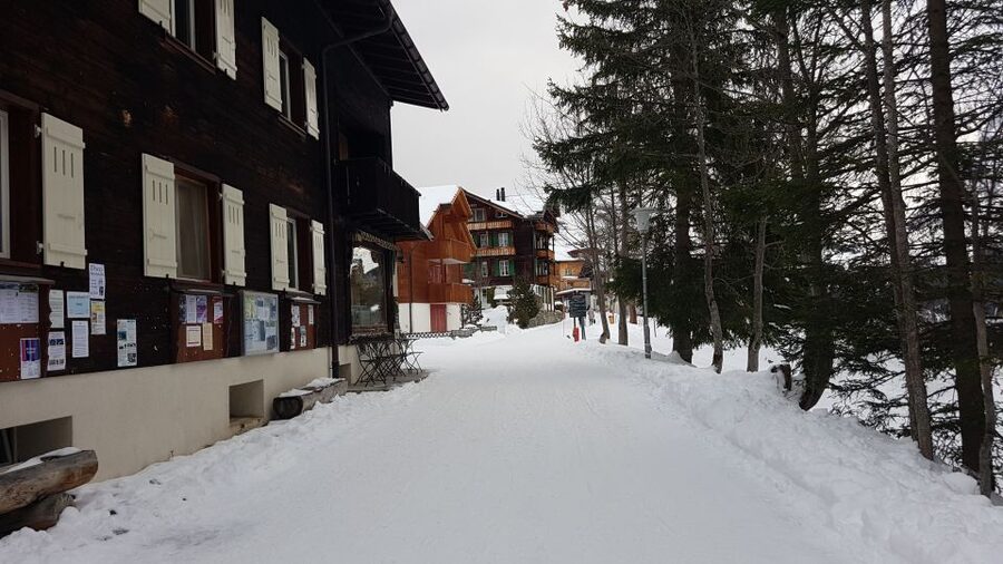 From Zürich: Exclusive Private Tour to Mt. Schilthorn - What the private format adds