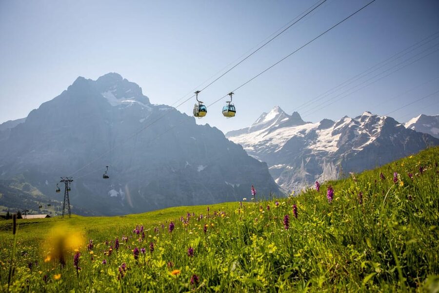 From Zurich: Grindelwald First Cable Car & Interlaken - Optional First activities cost extra