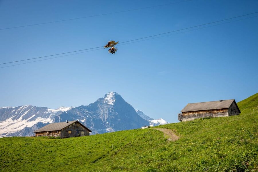 From Zurich: Grindelwald First Cable Car & Interlaken - Why the $238 price can make sense
