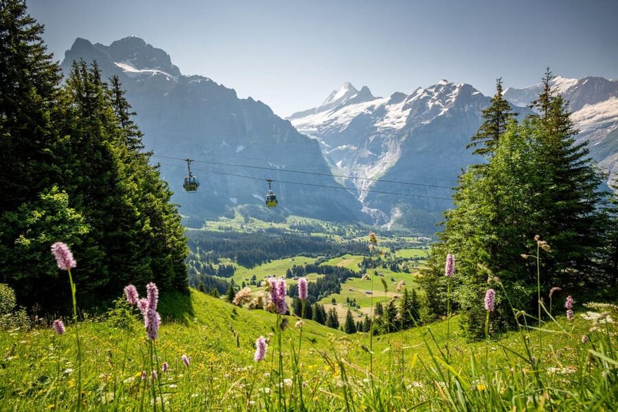 From Zurich: Grindelwald First Cable Car & Interlaken - The guide and the limits of the format
