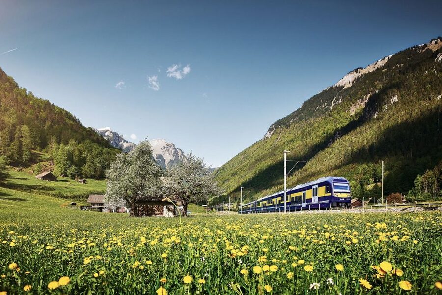 From Zurich: Grindelwald First Mountain Adventure Day Trip - Interlaken gives you a brief first look
