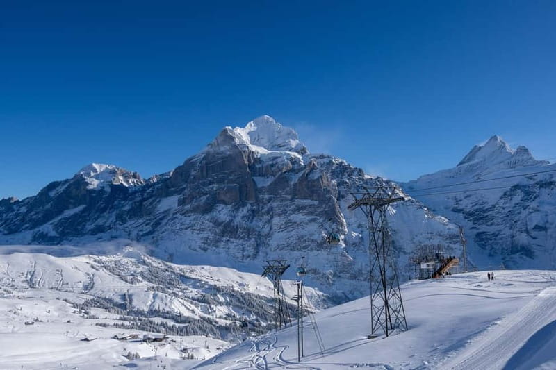 From Zurich: Grindelwald, Lauterbrunnen & Interlaken Tour - A full day requires sensible expectations