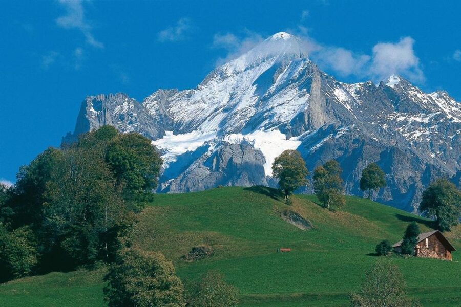 From Zürich: Interlaken and Grindelwald Day Trip by Coach - The guide and driver can shape the day
