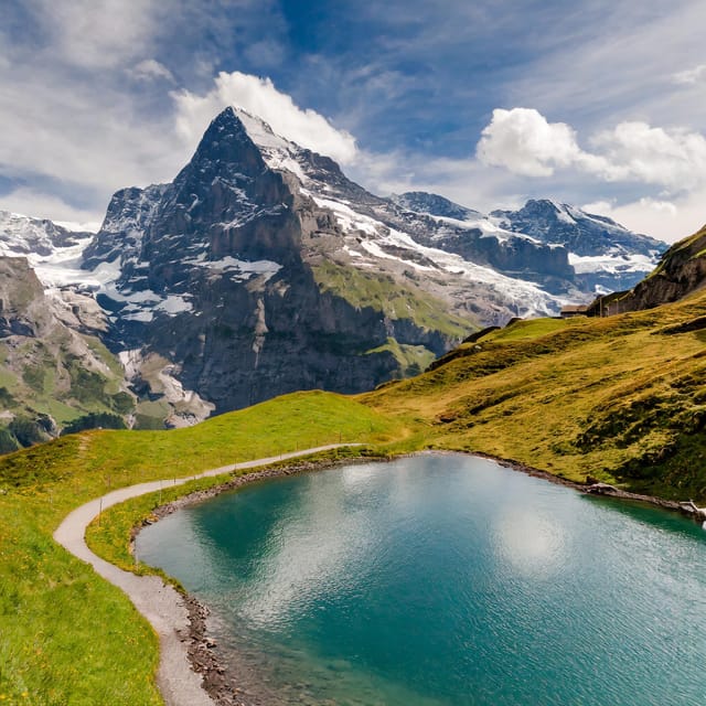 From Zurich: Interlaken and Grindelwald Private Day Tour - How much value do you get for $233?