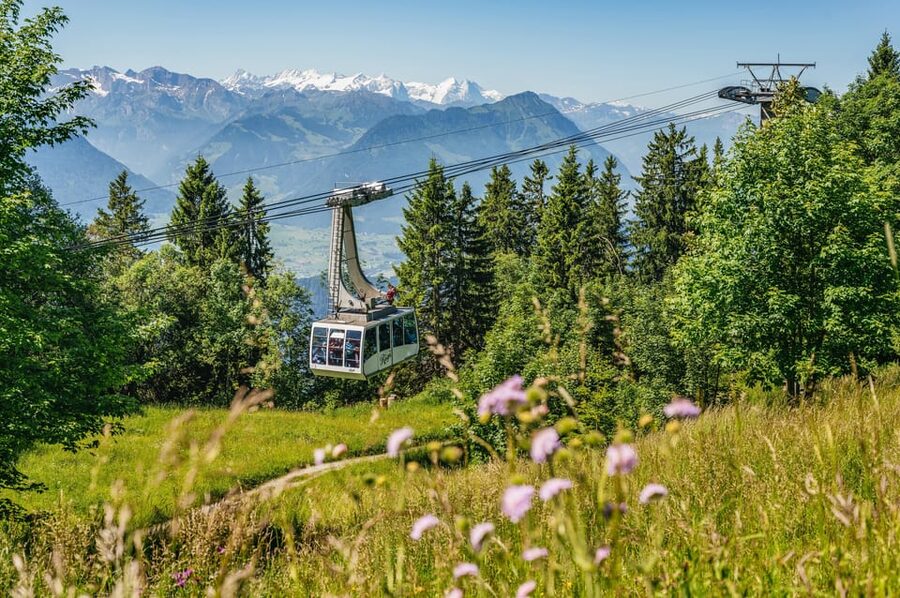 From Zurich: Mount Rigi and Lucerne Small-Group Day Trip - Key points before you book