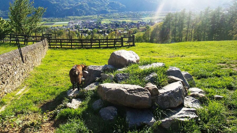 From Zurich: Private Trip to Liechtenstein and Heidiland - Vaduz, a capital built for a short visit