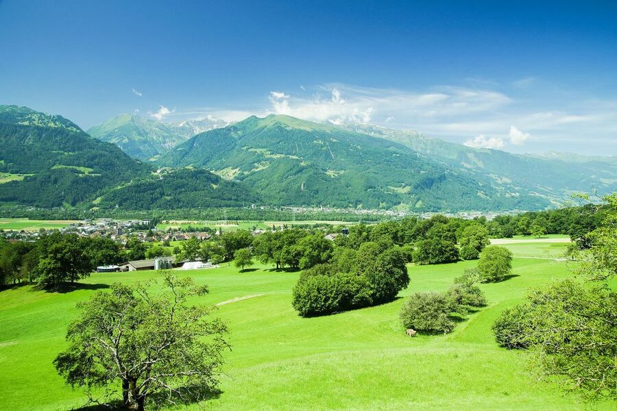 From Zurich: Private Trip to Liechtenstein and Heidiland - FAQ