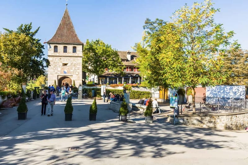 From Zurich: Rhine Falls Coach Tour - Free time at Laufen Castle and the river