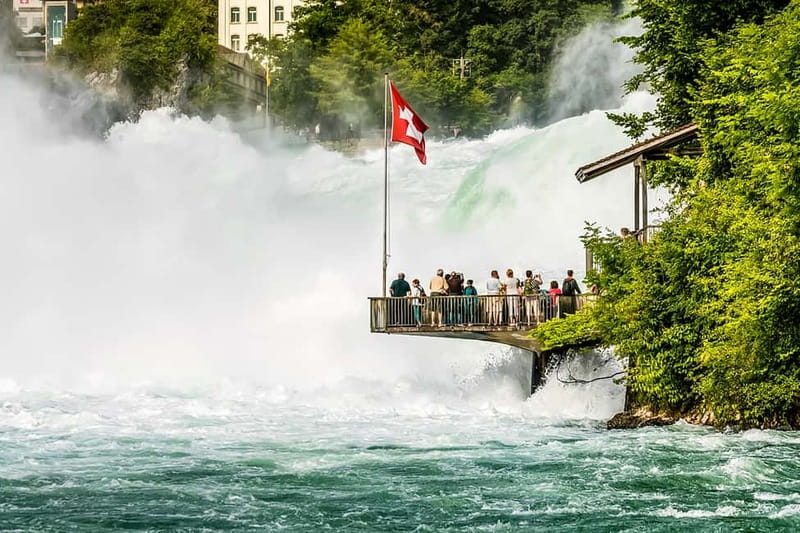 From Zurich: Rhine Falls Coach Tour - Who should take this half-day trip?