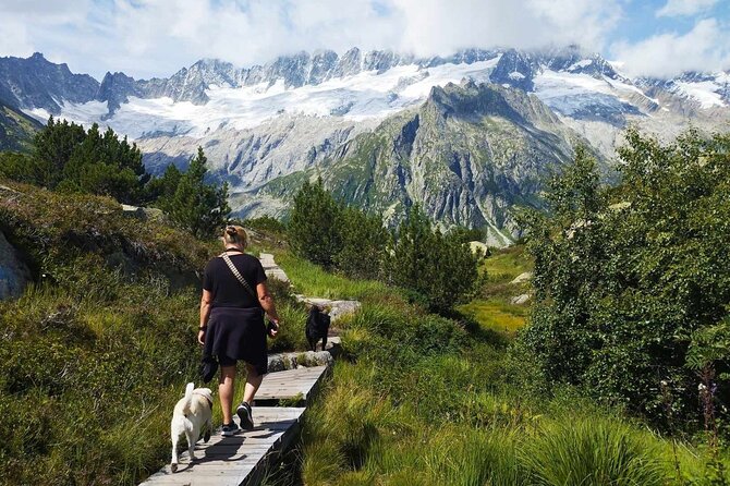 Full-Day Hiking Swiss Alps and Lake swim with Pick-up - A full Alpine day from Lucerne