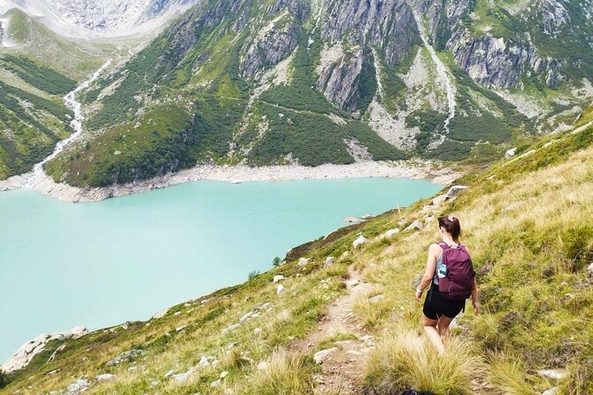 Full-Day Hiking Swiss Alps and Lake swim with Pick-up - What $530.92 buys you
