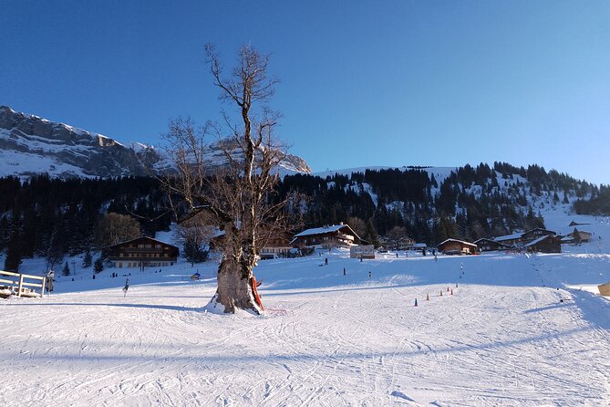 Fully organized Ski Experience for Private Groups - Why the private-group format matters