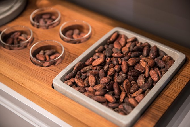 Geneva Chocolate tasting Tour in a Private TaxiBike - Charlie Ganache: an artful first tasting