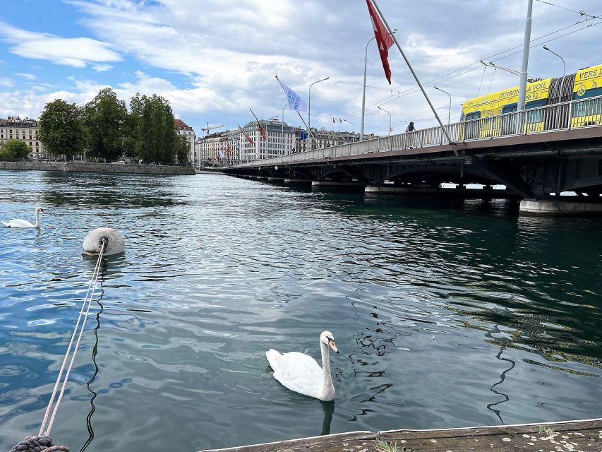 Geneva: Complete Tour, UN area & Old City (Hotel PICK-UP) - Why this four-hour route works well in Geneva