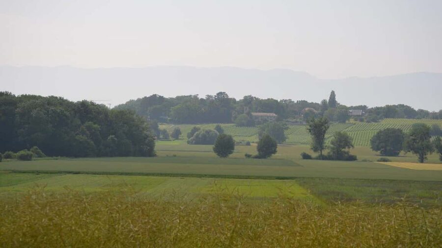 Geneva: Countryside and Wine tasting by E-Bike - The ride back to Geneva