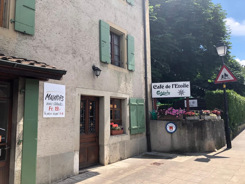 Geneva: Countryside and Wine tasting by E-Bike - Who should book this Geneva outing