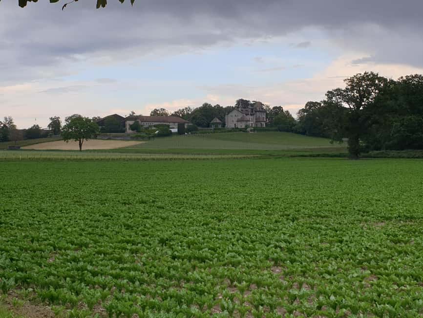 Geneva: Countryside and Wine tasting by E-Bike - Should you book Geneva: Countryside and Wine Tasting by E-Bike?