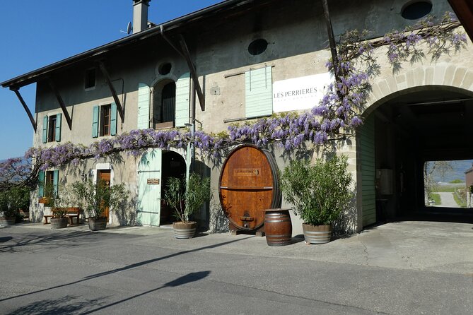 Geneva Countryside By E-Bike With Wine Tasting - Group size, pace, and practical comfort