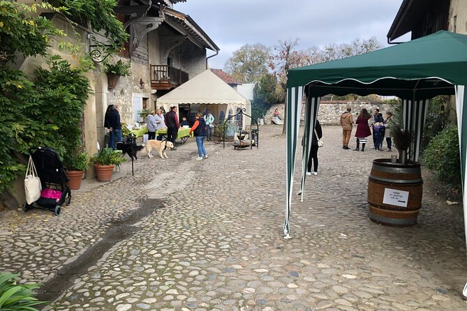 Geneva Countryside By E-Bike With Wine Tasting - Vernier church and village