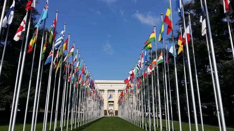Geneva: Guided City Tour and Boat Cruise - One hour on Lake Geneva
