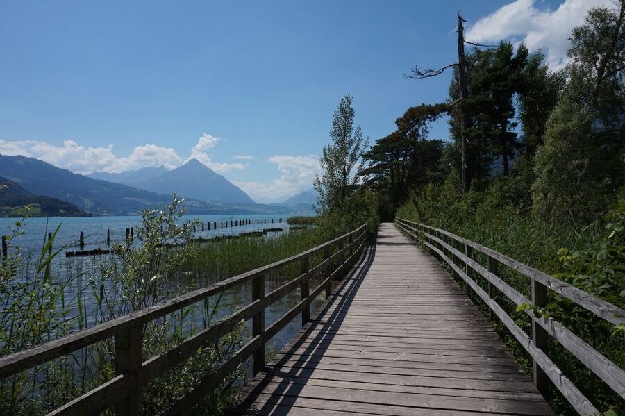 Geneva: Interlaken Day Trip & Visit to Harder Kulm Viewpoint - Is the $244 Price Worth It?