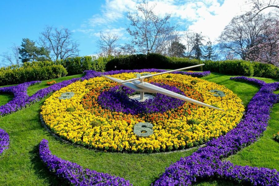 Geneva: International Area & Old Town Guided Bus Tour - Jet d’Eau and the Flower Clock