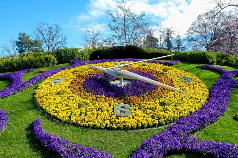 Geneva: International Area & Old Town Guided Bus Tour - St. Pierre Cathedral and the city’s older center