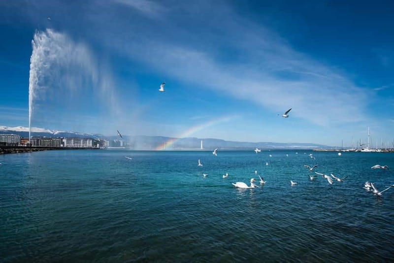 Geneva: International Area & Old Town Guided Bus Tour - Timing, comfort, and practical limits