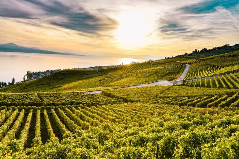 Geneva: Montreux, Chaplin’s World, Chillon Castle & Apéritif - Lavaux vineyards: a tasting with modest expectations