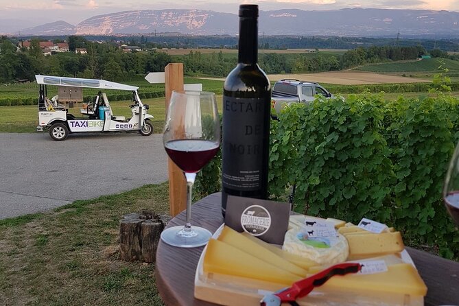 Geneva Panoramic & Tasting Vineyards Tour in an Tuk Tuk - Peissy and the vineyard route