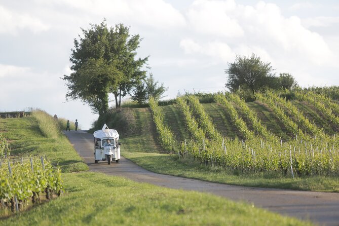 Geneva Panoramic & Tasting Vineyards Tour in an Tuk Tuk - Who will enjoy this Geneva tuk tuk tour