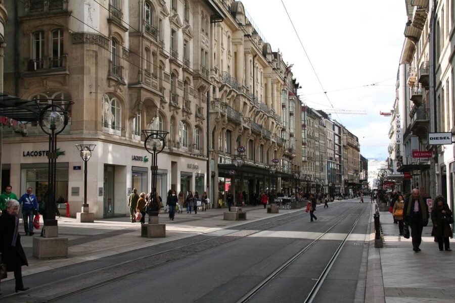 Geneva: Private Walking Tour with a Local Guide - A fast, flexible introduction to Geneva