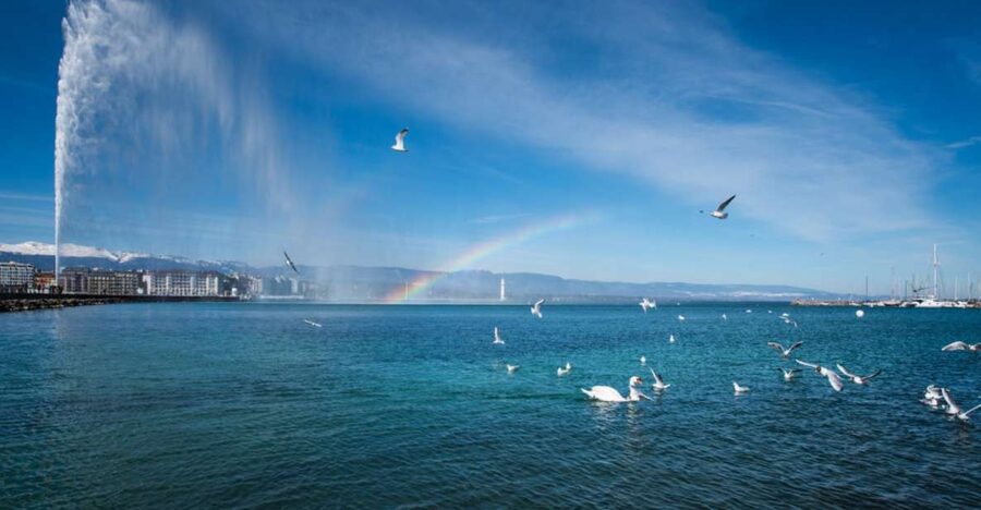 Geneva: Scenic Lake Cruise with Snacks and Wine - What you see from the lake