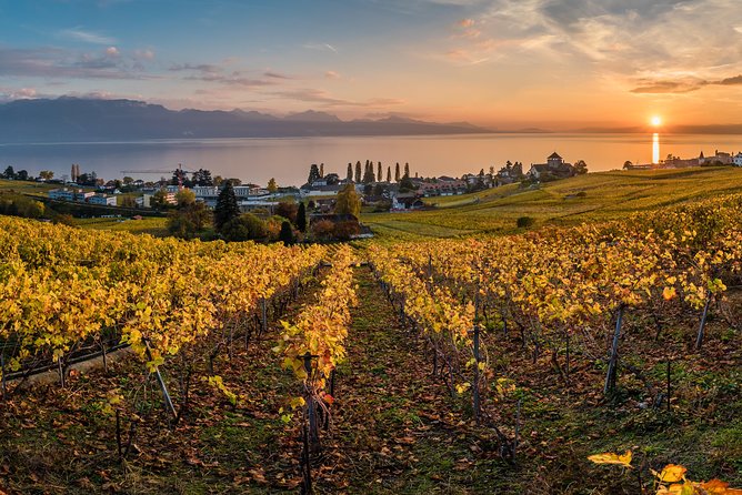 Geneva to Lausanne, Montreux and Château Chillon Private Tour - Lavaux brings the best views of the day