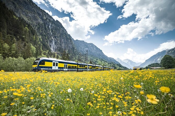 Grindelwald First - Top of Adventure from Zurich - Mountain carts and Trottibikes turn the descent into a route