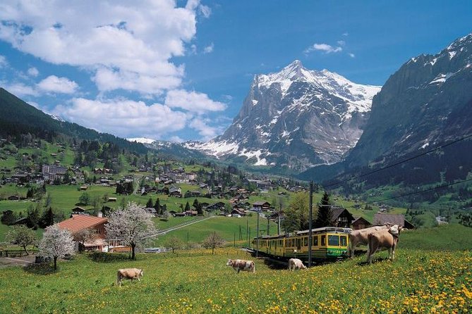 Grindelwald, Interlaken and Lauterbrunnen Day Trip from Lucerne - Interlaken: a short first taste