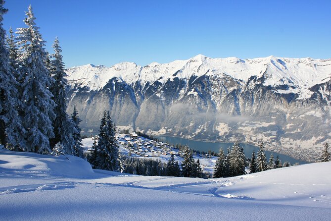 Grindelwald, Interlaken & Lauterbrunnen Day Trip from Zurich - Why this Zurich day trip works
