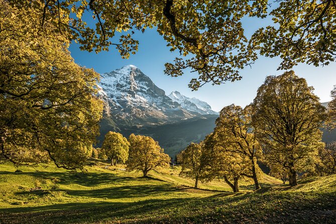 Grindelwald, Interlaken & Lauterbrunnen Day Trip from Zurich - The optional activities need advance thought