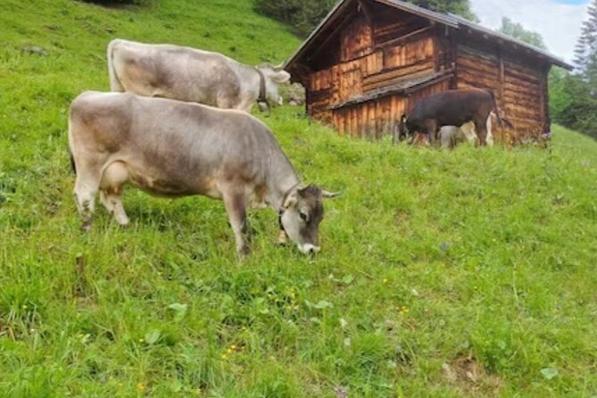 Grindelwald, Lauterbrunnen Lungern Interlaken Semi-Private - Lauterbrunnen’s steep valley and waterfalls